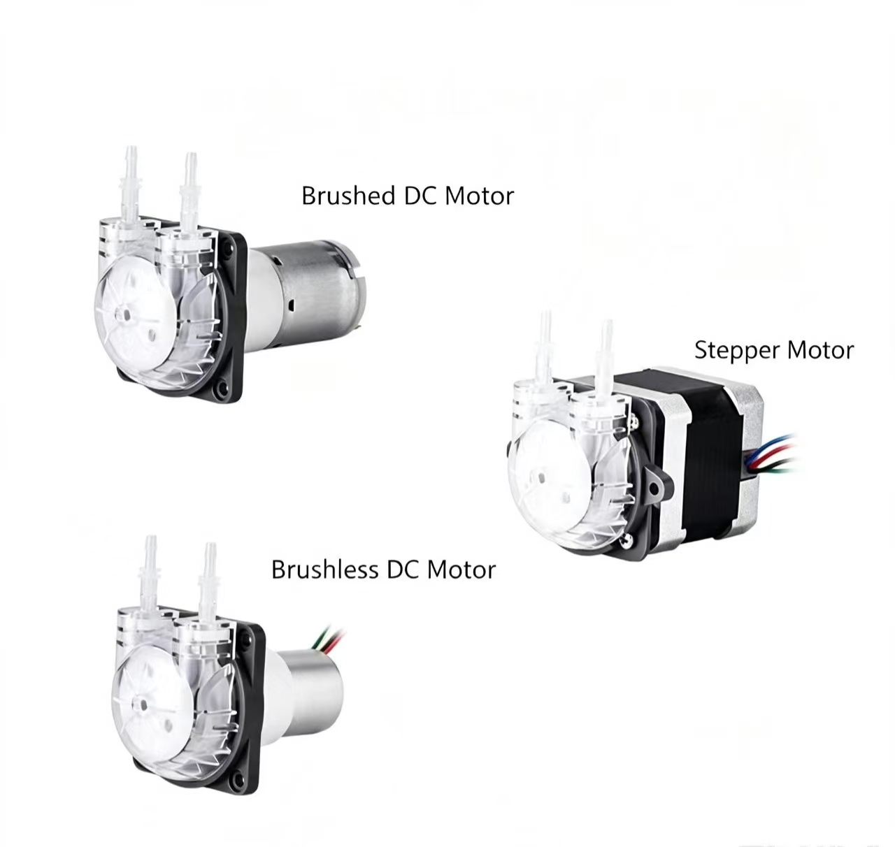 Mini Peristaltic Pump 12V - PENGPU Mikro Peristaltik Pompa 24V Step